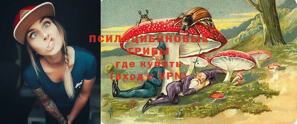PSILOCYBIN Горно-Алтайск