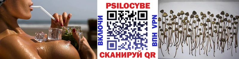 Купить закладки  Новопавловск  Галлюциногенные грибы Psilocybe 