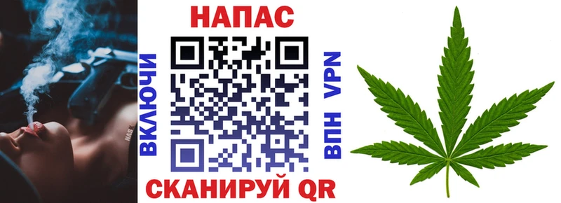 Шишки марихуана сатива Новопавловск