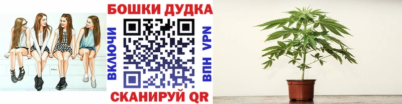 Конопля ГИДРОПОН  Купить закладки  Новопавловск 